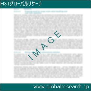 グローバルリサーチ調査レポートのイメージ